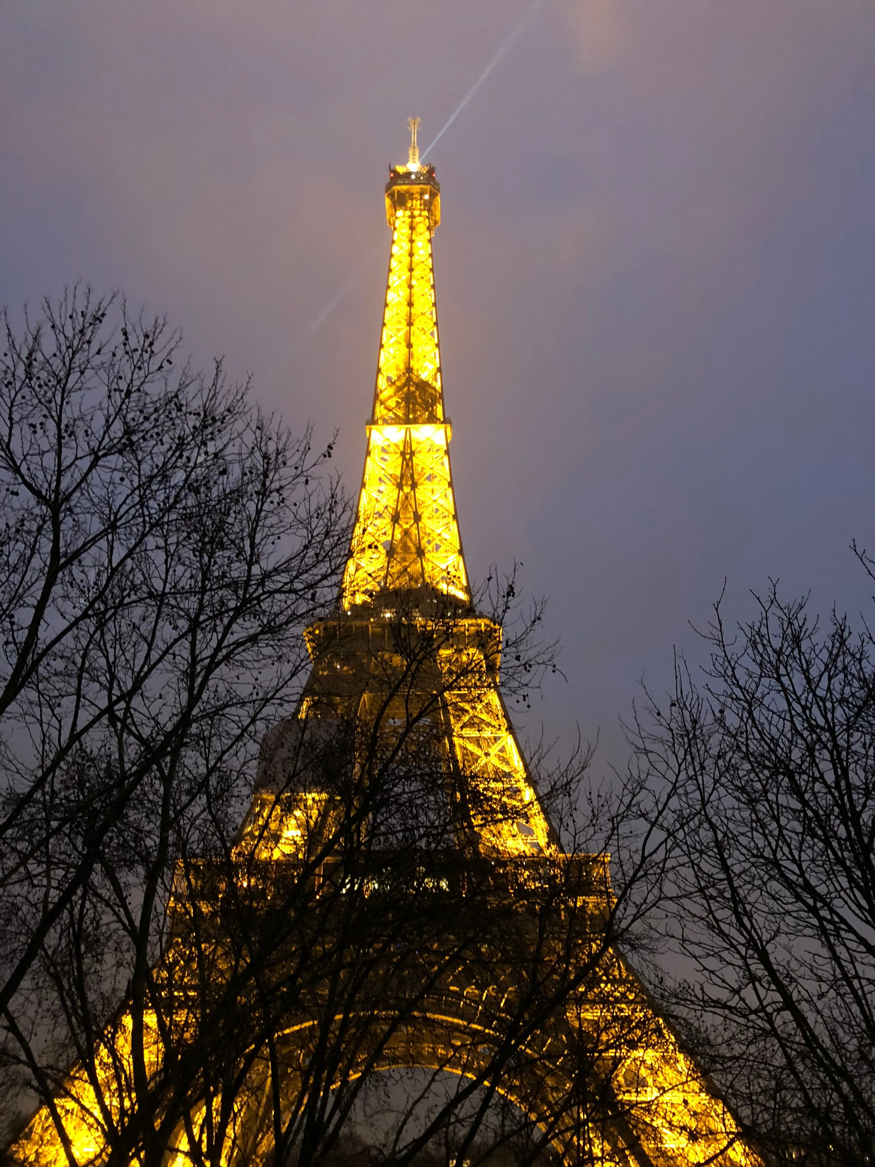 Vue directe sur la Tour Eiffel depuis l'appartement